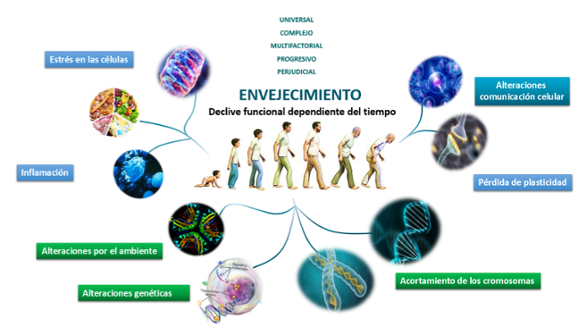 Figura 3