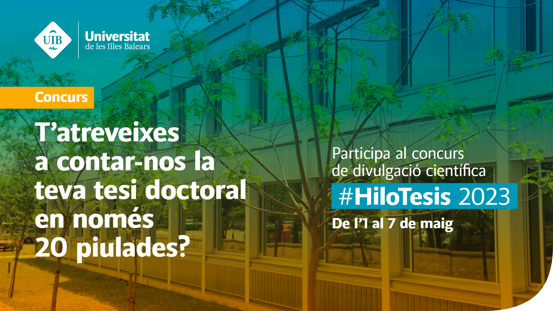 HiloTesis 2023